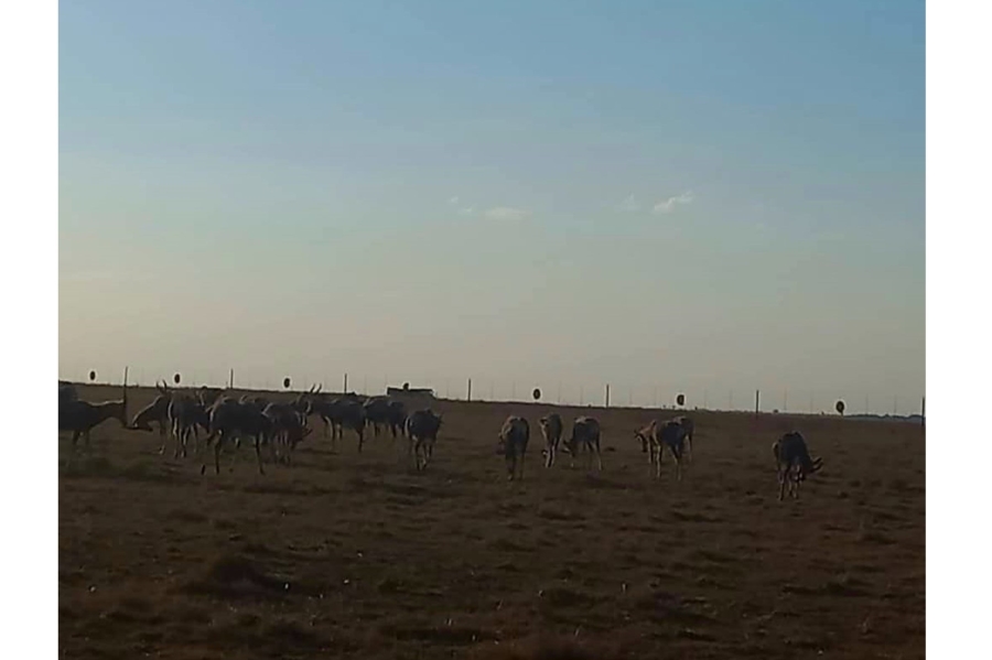 7 Bedroom Property for Sale in Oranjeville Free State